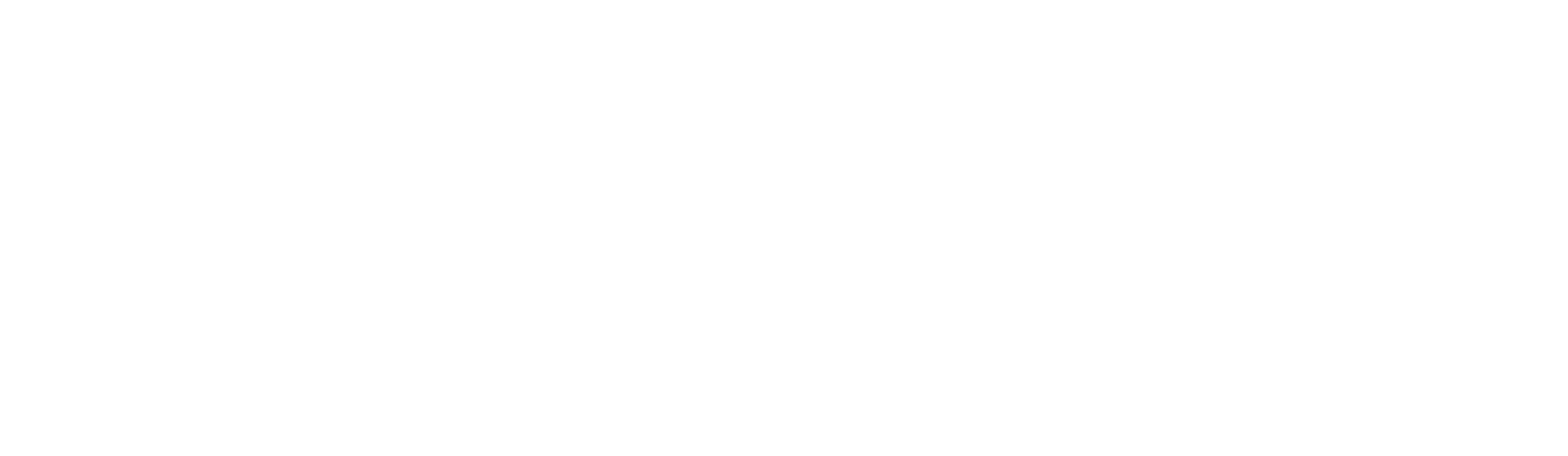 STM_logo_white